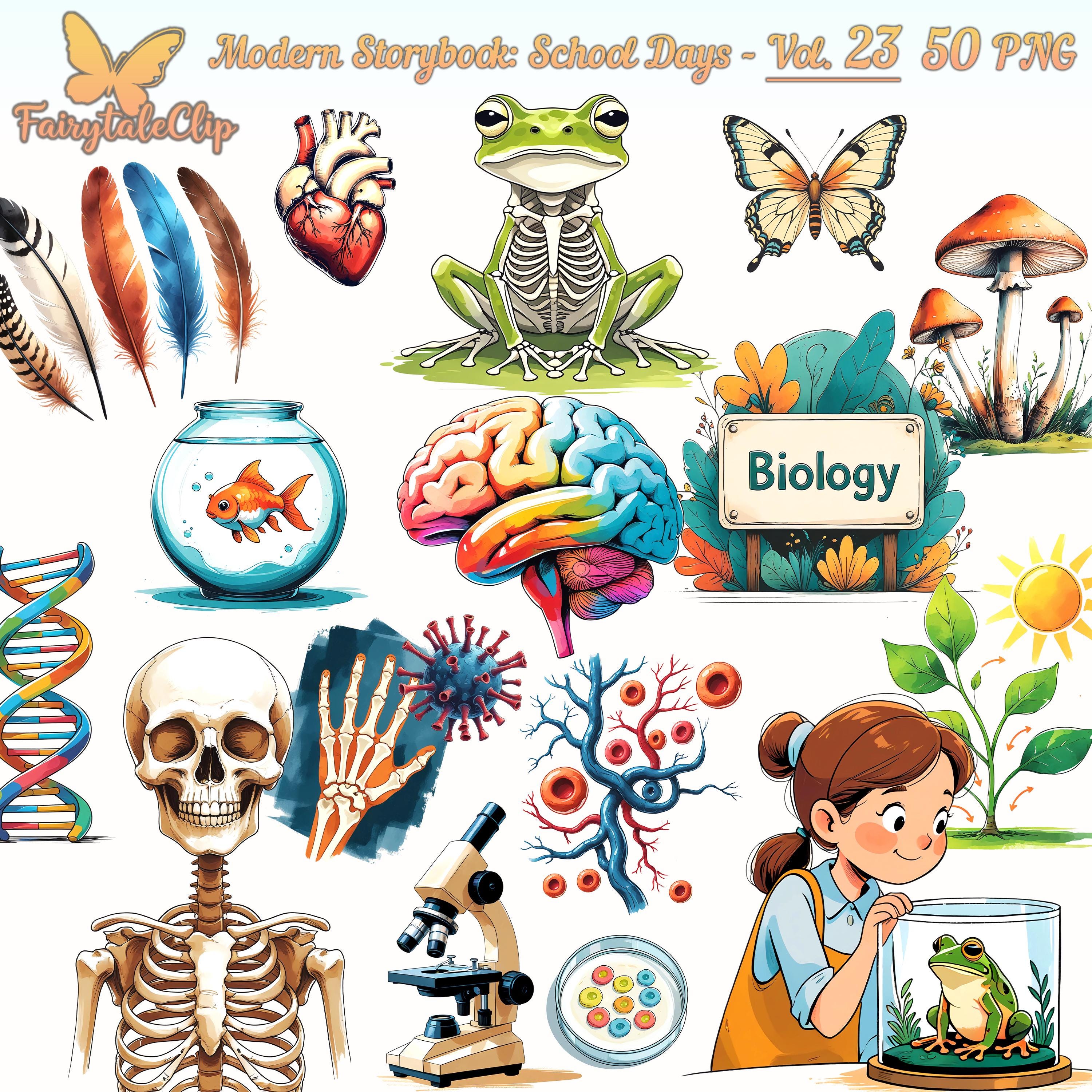Biology clipart - Etsy México, image size:3000x3000