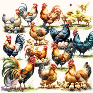 30 imágenes prediseñadas de escenas de granja de pollos PNG: ilustraciones coloridas de gallos, gallinas y pollitos para manualidades, decoración de casas de campo e impresiones de cocina.