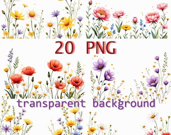Watercolor Wildflower Clipart: Spring Floral Borders (20 PNG Digital Download)