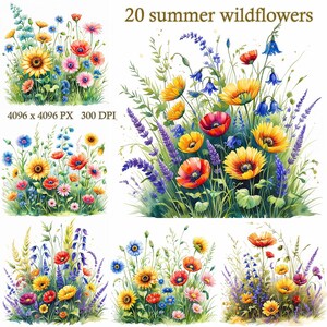 Sommer Wildblumen Aquarell Clipart, Wild Wiese Blumen Illustration für Printables, Karten & DIY-Projekte, digitaler Download