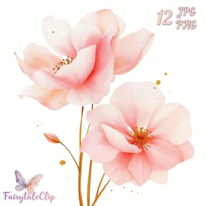 Clipart de flor de acuarela rosa de 12 pétalos con elegantes pétalos transparentes y detalles dorados para diseños románticos y femeninos.