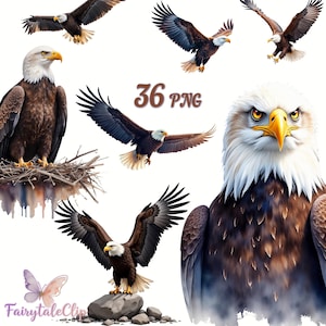 May include: A collection of watercolor illustrations of bald eagles in various poses. The eagles have brown and white feathers, yellow beaks, and piercing eyes. The image includes the text "36 PNG".