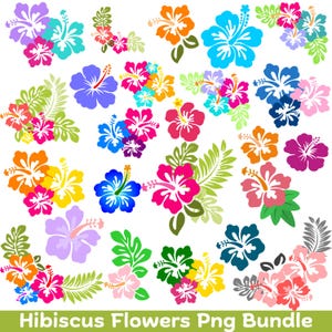 Hibiscus Flower Clipart Bundle: Tropical PNG, SVG (Digital Download)