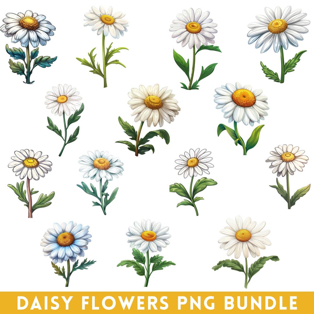 Retro Daisy Flower Clipart, PNG SVG Bundle (digital Download) - Etsy