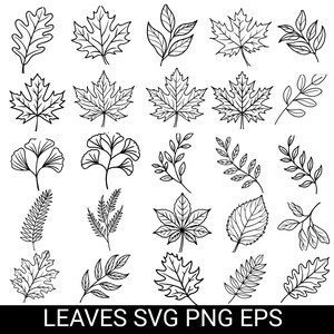 May include: Black and white line art of various leaf designs, including maple, oak, and fern leaves. The image includes the text "LEAVES SVG PNG EPS" at the bottom, indicating the file types available.