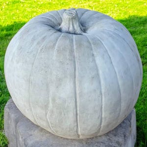 May include: A large, light gray pumpkin statue with vertical ridges and a textured surface. The pumpkin sits on a gray stone base against a backdrop of green grass. The stem is a lighter shade of gray.