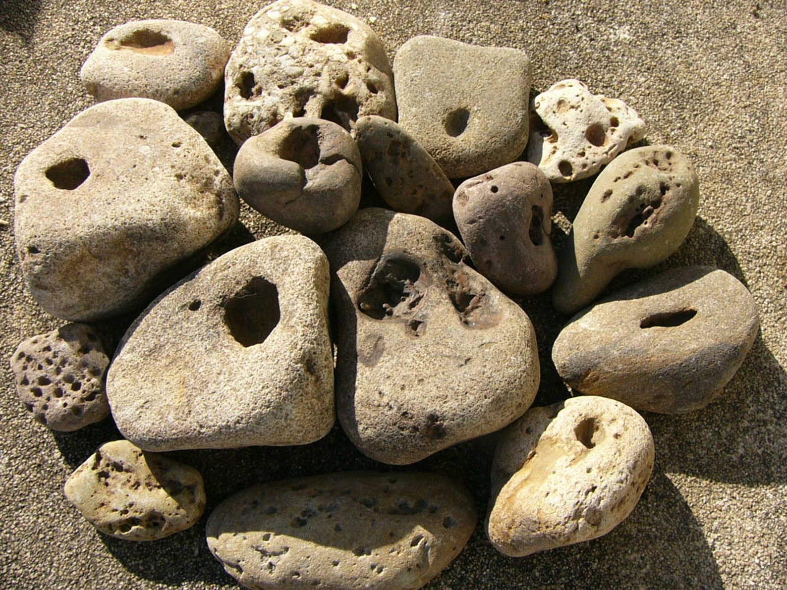Unusual River Rocks with Holes and All Natural Creek Stones Etsy