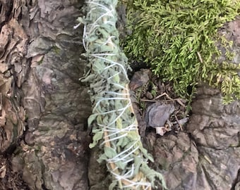 Lemon Verbena Smudge Stick | Hand-Tied Herbal Bundle | Cleansing, Calm & Joy Ritual | Cottagecore Witch Decor