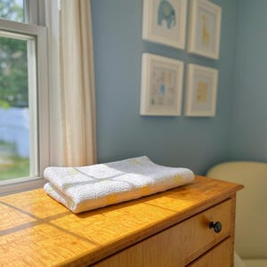 Couette pour bébé Jardin de fleurs de grand-mère ; vers les années 30 ; courtepointe vintage ; courtepointe antique ; noyau cottage ; courtepointe faite main ; couette pour lit de bébé ; 30&quot; par 42&quot;