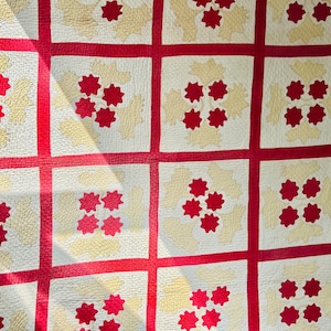 Antieke Baltimore Daisy Variation-quilt met uitgebreide rand met bessenranken; circa 1900-1910, vintage quilt; handgemaakte, handgestikte quilt