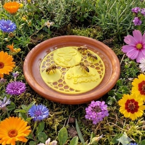 Stacja pojenia owadów Bee Bay: Zrównoważona tratwa ratunkowa dla spragnionych owadów – nasz „klasyk”