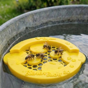 Bee Bay 2.0 - Den hållbara flytande insektsbevattningsstationen - Säker dricksplats för bin och insekter