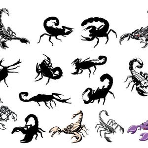 Scorpion SVG Bundle, Scorpion SVG, Scorpion Clipart, Cut Files For Silhouette, Files for Cricut, Scorpion Vector, Svg, Designб Скшсге