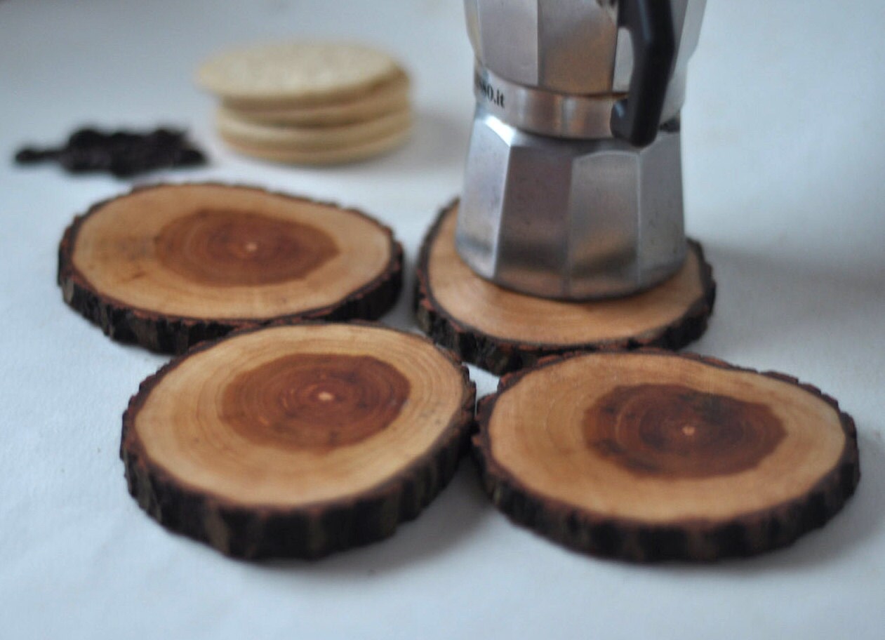 Wooden coasters tree branch coasters Oak wood Coasters Etsy