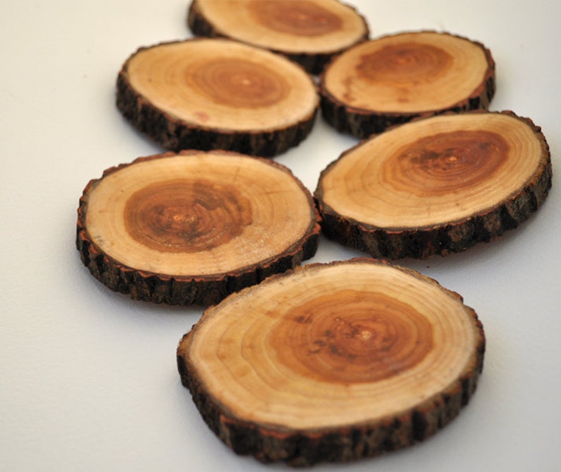 Wooden coasters tree branch coasters Oak wood Coasters Etsy