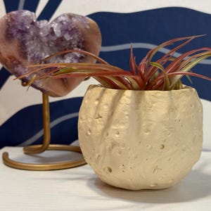 May include: A heart-shaped amethyst crystal on a gold stand next to a small, textured, off-white ceramic pot with a plant featuring red and green leaves. The background has a blue and white wave pattern.