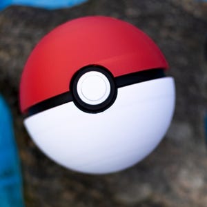May include: A red and white Poké Ball with a black band and a white button in the centre. The top half is red, the bottom half is white, and the button is white with a black outline. A collectible item.