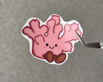Pegatina de vinilo de coral inspirada en Jellycat, adorable criatura marina para portátil, botella de agua y diario, con estética de animales del océano.