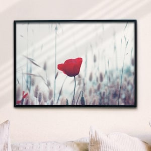 Poppy field digital print farm poppies field photography wild flowers poster printable wall art Moody Nature Print Single Flower Wall Art