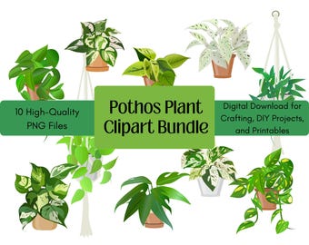 Pothosväxt PNG Clipart-paket: Botaniska illustrationer (digital nedladdning)