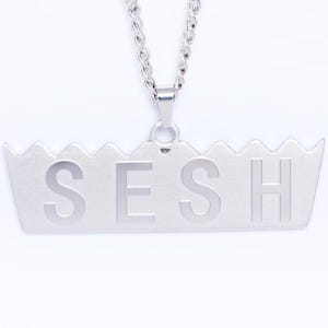Collar de acero inoxidable del equipo Sesh