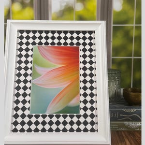 Può includere: Una cornice bianca con un bordo a scacchi in bianco e nero. La cornice contiene un'immagine colorata di un fiore con petali arancioni, rosa e gialli. Lo sfondo è blu e verde tenue.