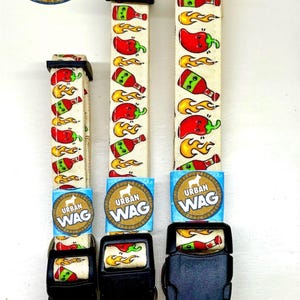 Original Artwork, fun Dog Collar :)