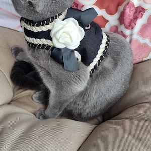Elegant Small Dog or Cat Harness – Designer Pet Dress with Pearls and Bow, Fancy Dog Clothes, Luxury Handmade Harness for Dogs and Cats