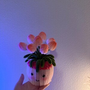 May include: A handmade, whimsical planter with a smiling face, holding a cluster of pink and peach-colored flowers. The planter is white with pink accents and green leaves. The overall design is soft and inviting.