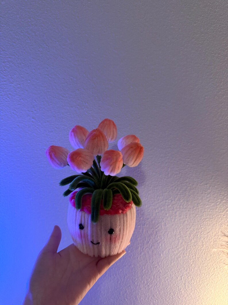 May include: A handmade, whimsical planter with a smiling face, holding a cluster of pink and peach-colored flowers. The planter is white with pink accents and green leaves. The overall design is soft and inviting.
