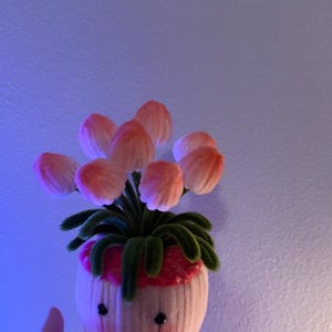 May include: A whimsical, handmade felt flower pot with a smiling face. The pot features pink and white felt, with green felt leaves and pink flower petals. The craft item is a unique decorative piece.