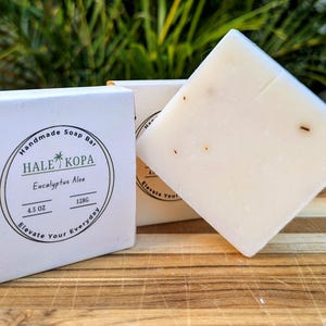 Eucalyptus Aloe Soap Bar, Natural Cold Process Soap Bar, Handmade Vegan, Hawaiian Gift, Body & Face Soap, Eco Friendly, Unisex Soap
