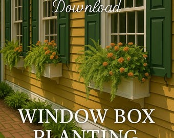 Window Box Planting Guide, Curb Appeal, DIY Flower Box, Window Box Flowers, Front Porch Landscaping, DIY Front Landscape, DIY Garden