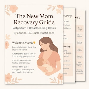 May include: The New Mom Recovery Guide, a postpartum and breastfeeding guide. The cover features a woman breastfeeding a baby, with text including "Welcome, Mama" and "By Corinne, RN, Nurse Practitioner." Additional pages list topics like "Red Flags" and "Veks to Expect."