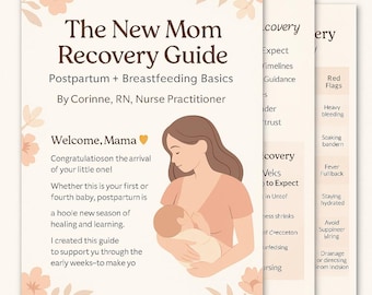 Postpartum Recovery Guide, Breastfeeding Basics Course, New Mom Printable Workbook, New Mom Recovery Guide Postpartum, Breastfeeding Basics