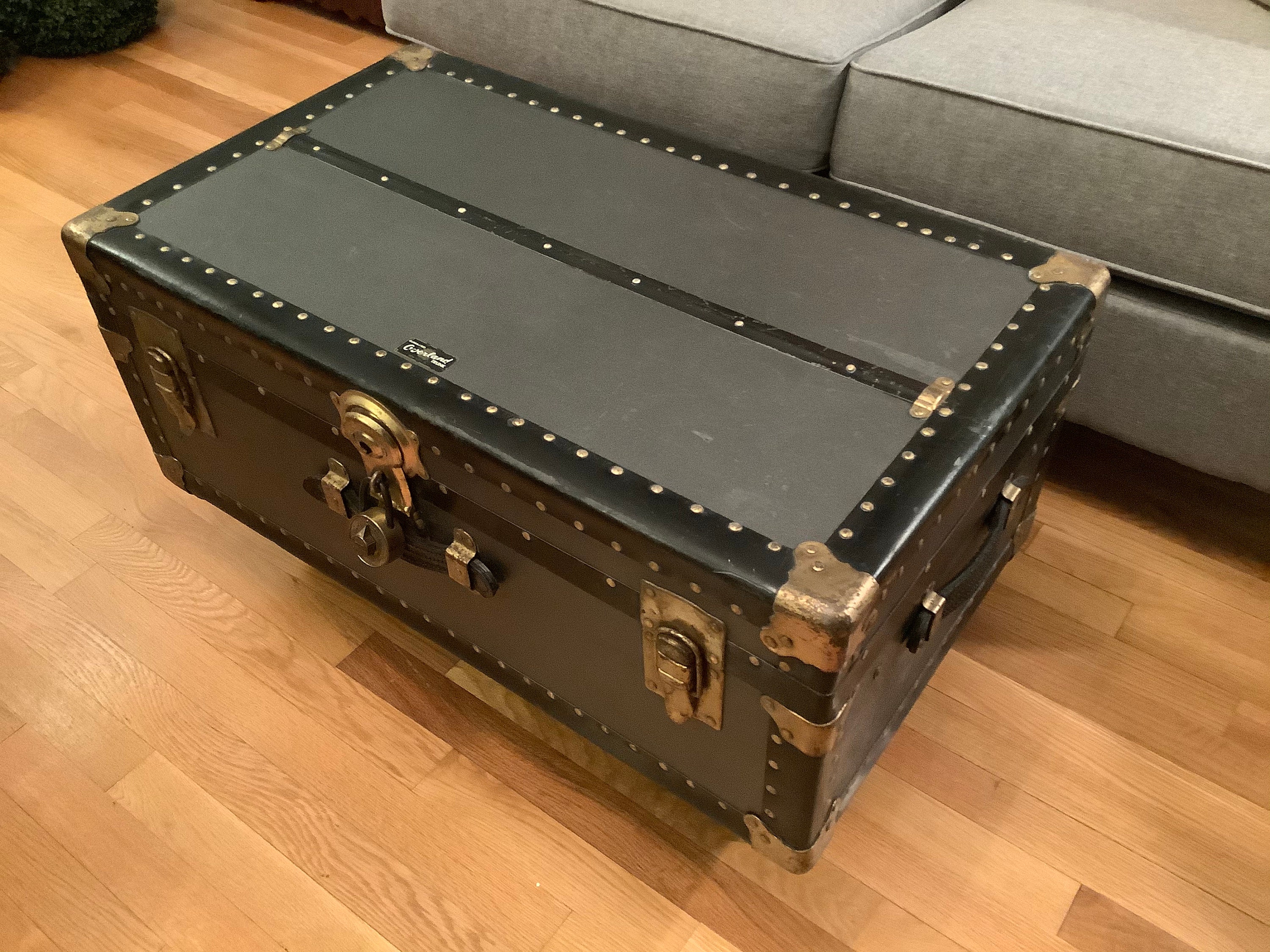 Vintage Trunk Coffee Table – Fab Finds