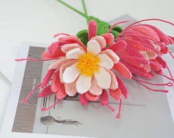 Crochet Pink Epiphyllum Oxypetalum Bouquet Pattern, DIY Flower Bouquet Crochet Pattern, Amigurumi Wall Decor, Home & Car Hanging Plant
