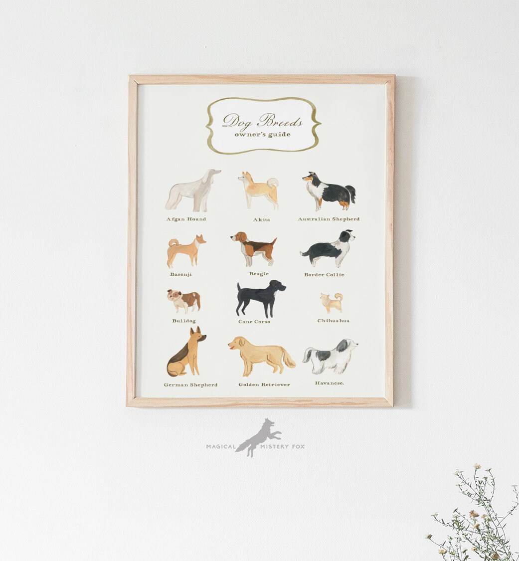 Dog breeds chart Printable Illustration owner's guide | Etsy