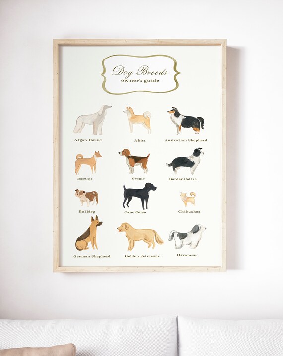 Dog breeds chart Printable Illustration owner's guide | Etsy