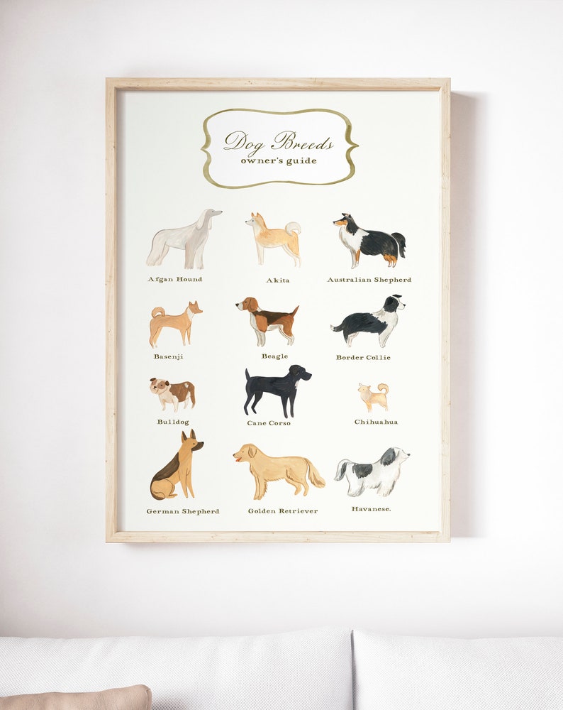 Dog breeds chart Printable Illustration owner's guide | Etsy