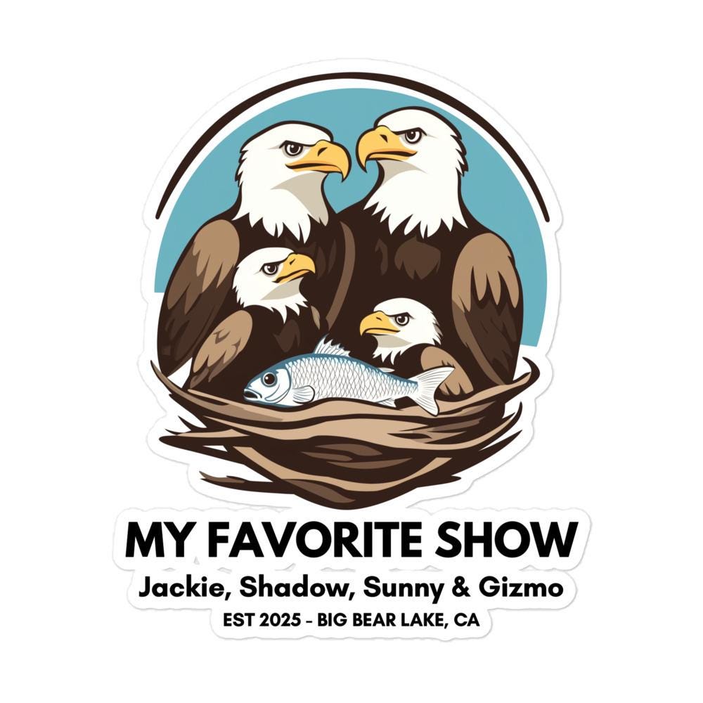 Eaglets Friends Of Big Bear Valley Eagle Cam Buy Eagle Eggs Online