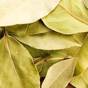 Bay Leaf