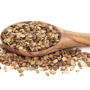 Angelica Root