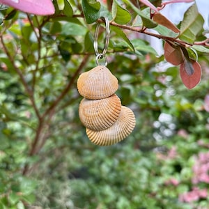 Triple Seashell Keychain | Handmade Coastal Bag Charm | Beachcomber Gift | Nautical Key Ring | Ocean-Inspired Zipper Pull