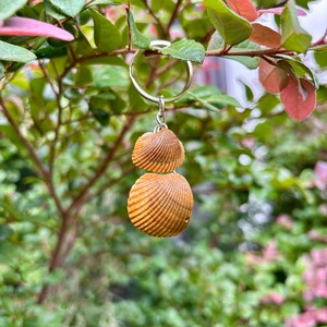 Real Seashell Keychain