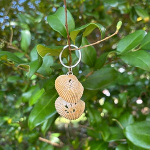 Ocean-Tumbled Seashell Keychain