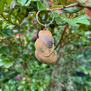 Natural Seashell Keychain