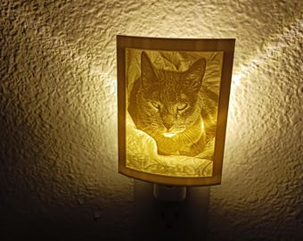 Custom 3D Printed Photo Nightlight