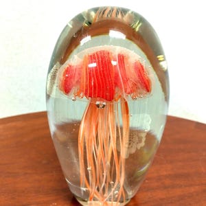 May include: A clear glass paperweight featuring a vibrant red and orange jellyfish encased within. The jellyfish has detailed tentacles and a bell-shaped body. The paperweight is oval-shaped and sits on a wooden surface.
