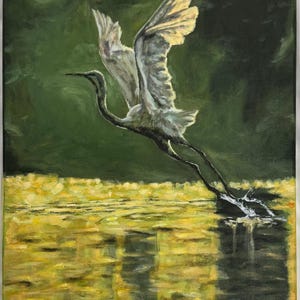 May include: A white egret with black legs takes flight over a golden pond with a green background.